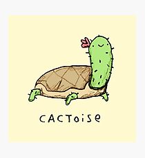 Cactoise Photographic Print
