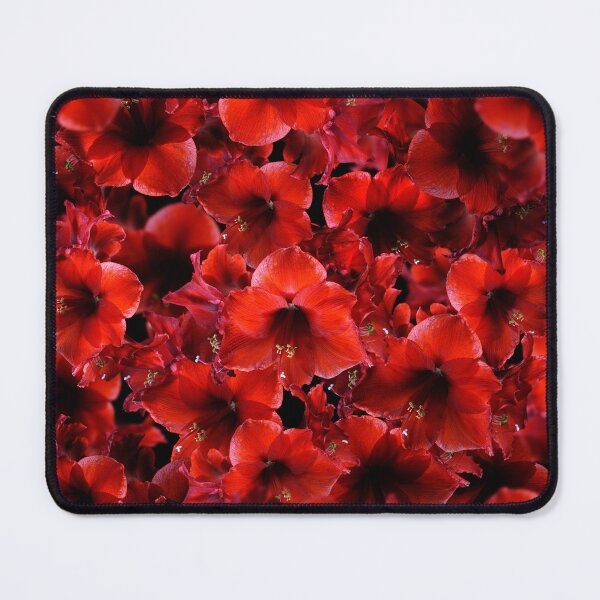 Item preview, Amaryllis designed and sold by twixt-two-wheels.