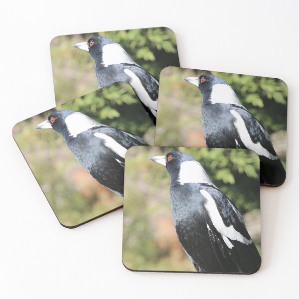 Item preview, Miss Magpie designed and sold by Lauren Elizabeth Photograhy AU.