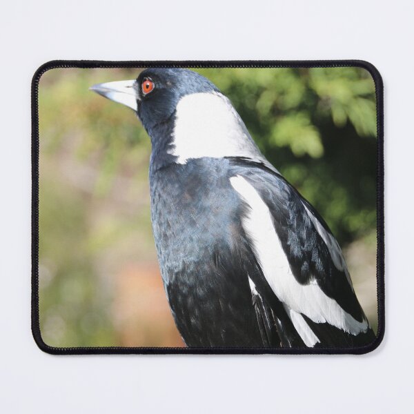 Item preview, Miss Magpie designed and sold by Lauren Elizabeth Photograhy AU.