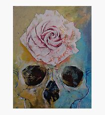 Rose Photographic Print