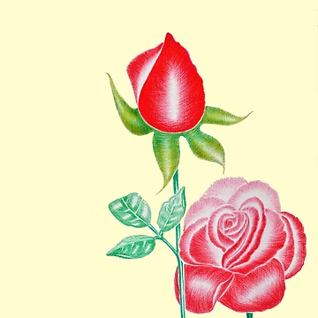 Artwork thumbnail, Two Roses by pracha