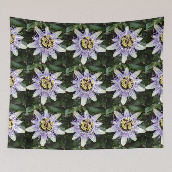 Item preview, Bizarre and beautiful purple passiflora flower (passion flower) photo designed and sold by Pixtela ..