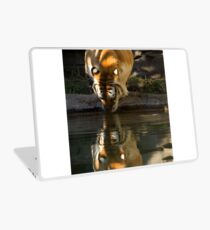 Taking a Drink Laptop Skin