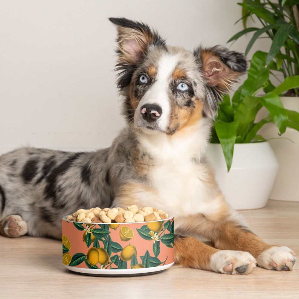 Lemon and Leaf Pet Bowl