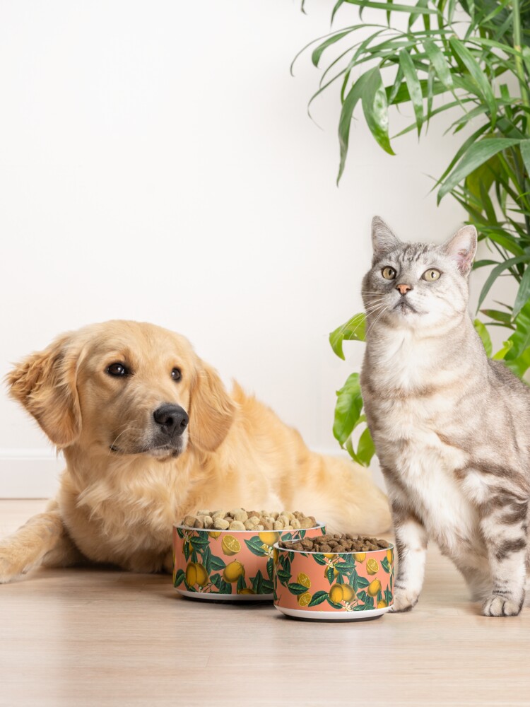 Alternate view of Lemon and Leaf Pet Bowl