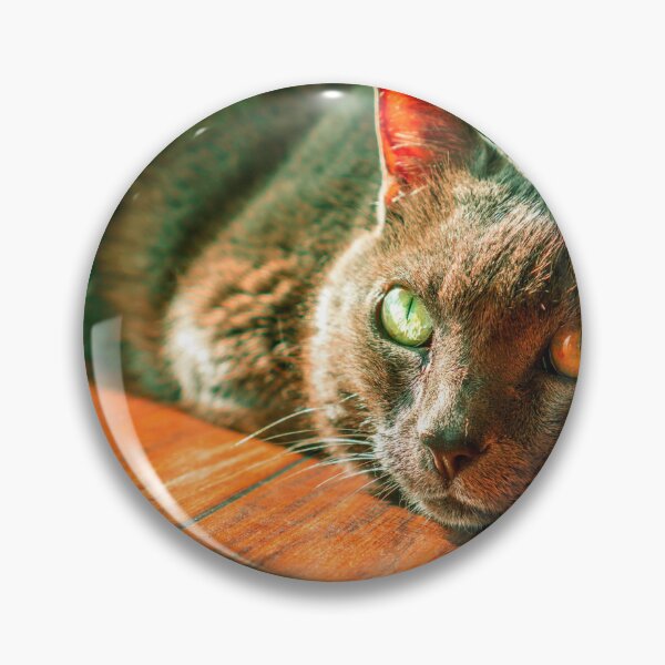 Aperçu de l'œuvre Beau chat créée et vendue par Amadej.