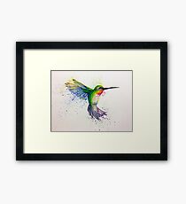 hummingbird Framed Print