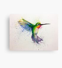 hummingbird Canvas Print