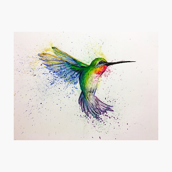 hummingbird Photographic Print