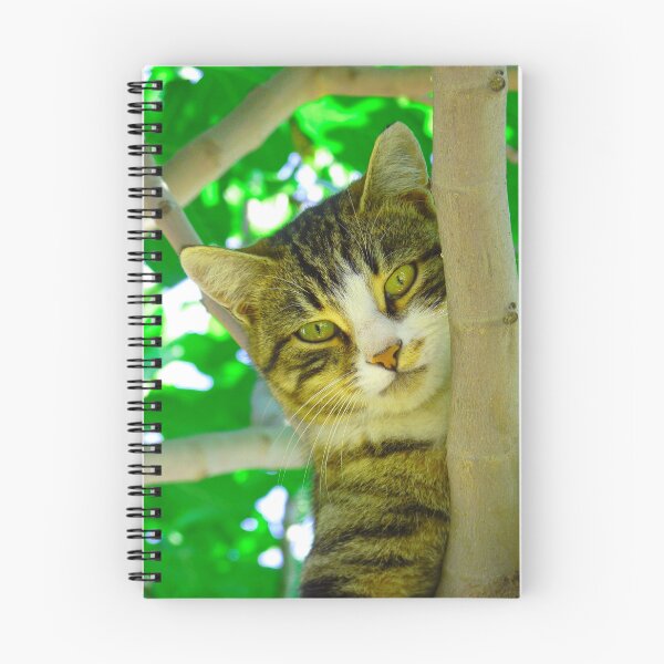 Item preview, Beautiful cat designed and sold by Amadej.