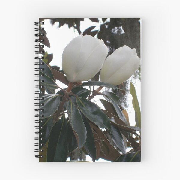 Item preview, Subtle Beauty designed and sold by SkylarMuller.