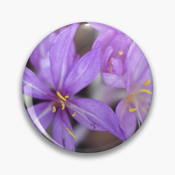 Item preview, Purple Crocuses designed and sold by imaginethis.