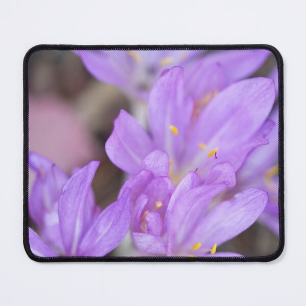 Item preview, Purple Crocuses designed and sold by imaginethis.