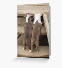 It's A Long Way Up Greeting Card