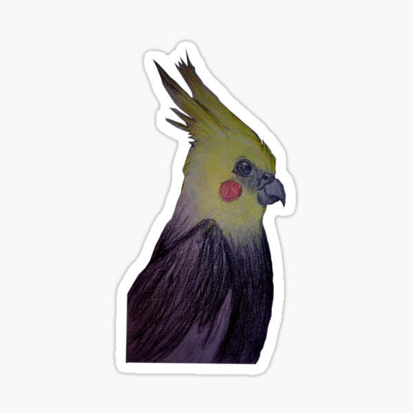 Artikelvorschau, Nymphensittich Hand gezeichnete Vogel entworfen und verkauft von FIRC.