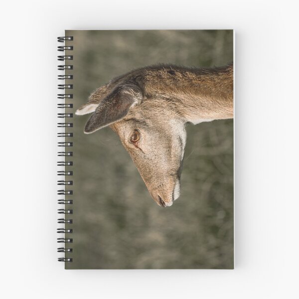 Item preview, Fallow Deer Profile designed and sold by jaks.