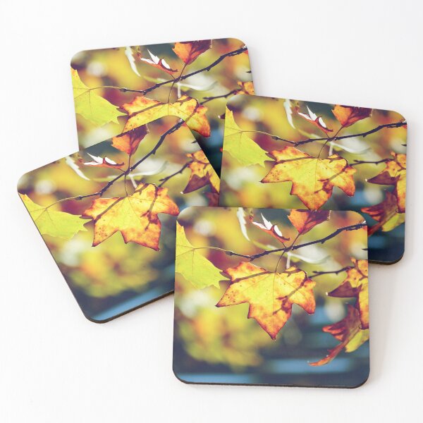 Item preview, Fall foliage and beautiful sunlight designed and sold by CarolinaReina.