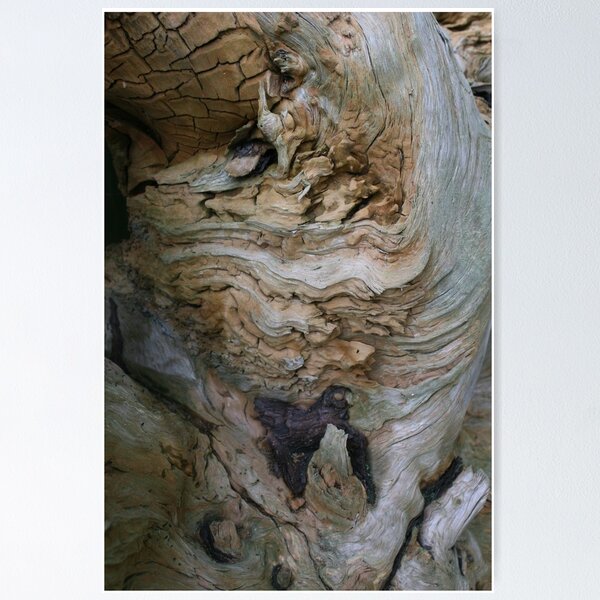 Item preview, Discovery In Wood  designed and sold by patjila.