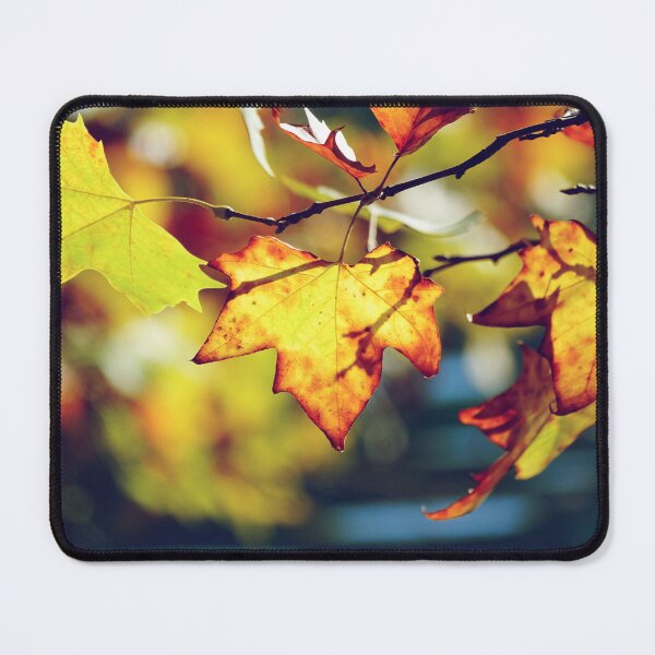 Item preview, Fall foliage and beautiful sunlight designed and sold by CarolinaReina.