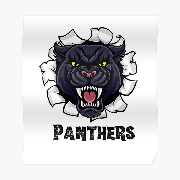 Panther Pride Mascot Retro Sunset Basketball Volleyball Football Baseball  Softball School Spirit, Panthers Lovers Gift, Game