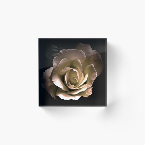 Romance of the Rose Acrylic Block