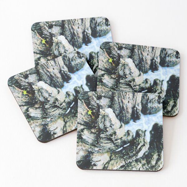Item preview, Inside of a tree designed and sold by MartaPaprocka.