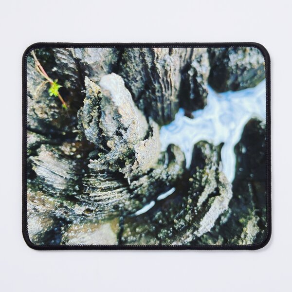 Item preview, Inside of a tree designed and sold by MartaPaprocka.
