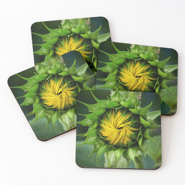 Item preview, Ballroom setting. Sunflower designed and sold by Jouko Lehto Photography.