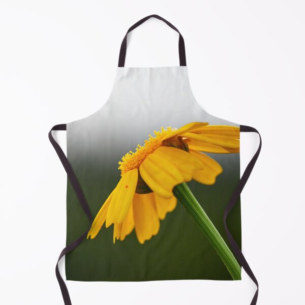 Item preview, Golden chamomile designed and sold by Jouko Lehto Photography.