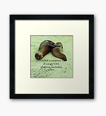 Love soulmates Aristotle quote Framed Print