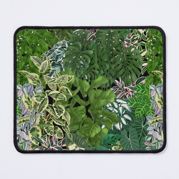 Item preview, Urban Jungle House Plants Illustration 2 designed and sold by Ana Moguš.