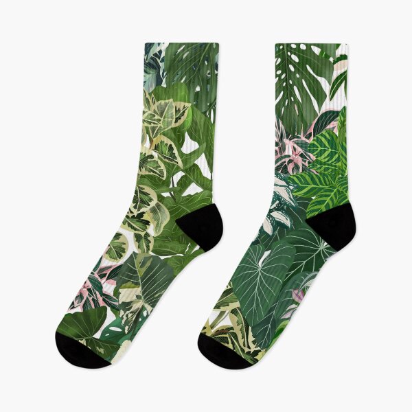 Item preview, Urban Jungle House Plants Illustration 2 designed and sold by Ana Moguš.