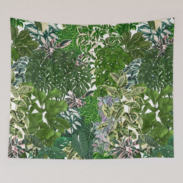 Item preview, Urban Jungle House Plants Illustration 2 designed and sold by Ana Moguš.