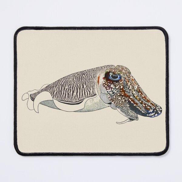 Item preview, Cuttlefish 2 (Linework) designed and sold by Zia Frazier.