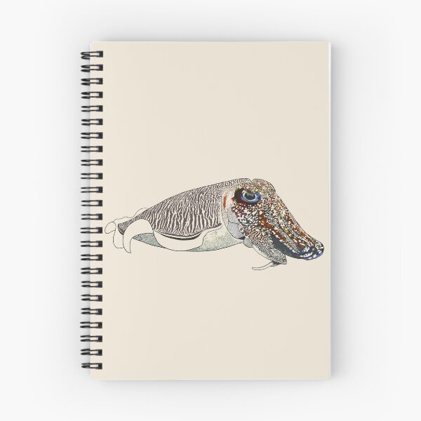 Item preview, Cuttlefish 2 (Linework) designed and sold by Zia Frazier.
