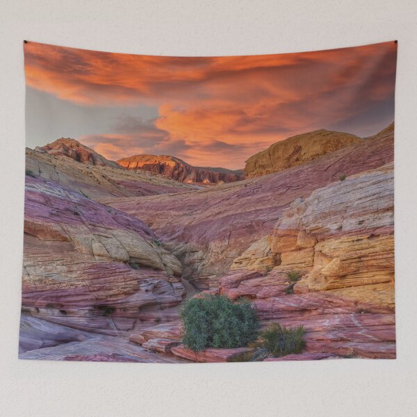 Artikelvorschau, Sonnenuntergang 0094 – Valley of Fire State Park, Nevada entworfen und verkauft von AlsknMommaBear2.