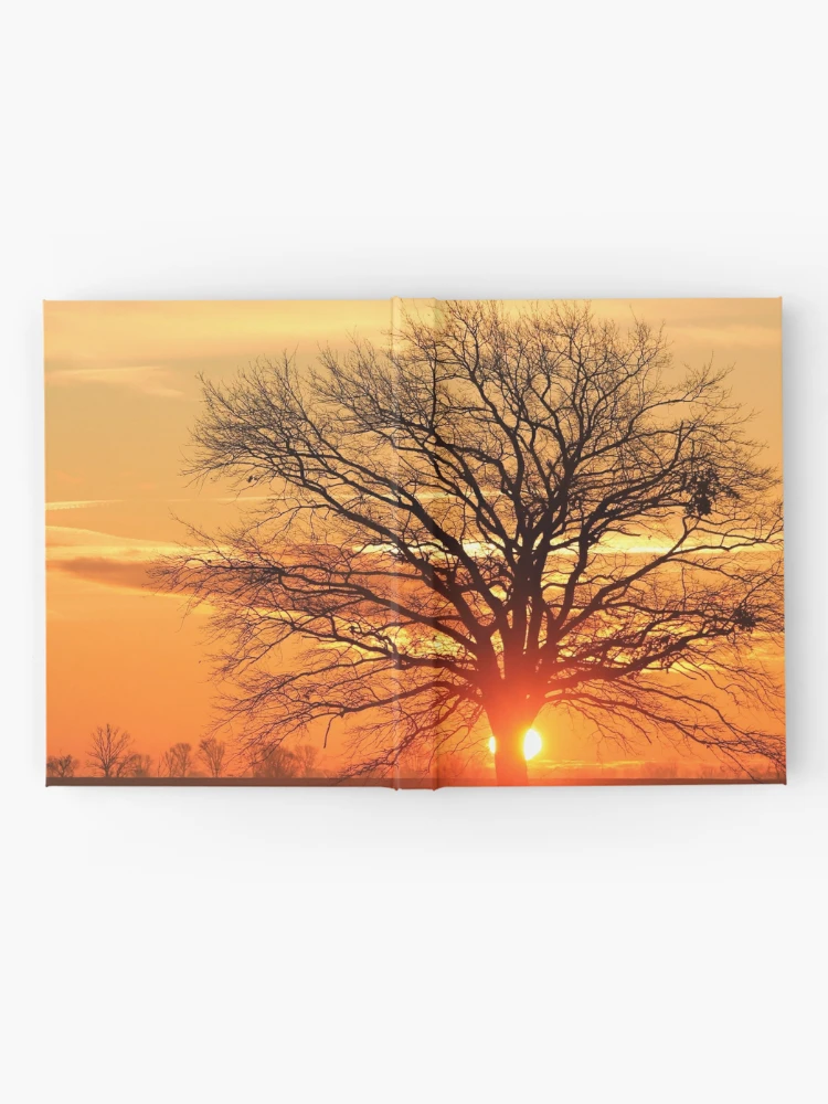 Thumbnail 2 of 3, Journal, Tree designed and sold by eleyne.