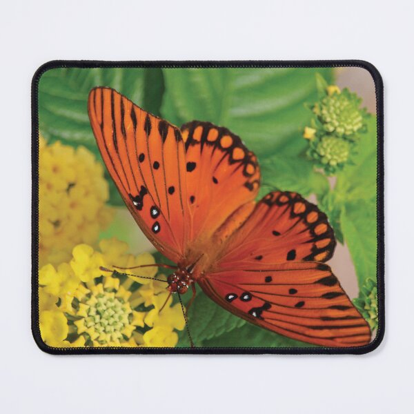 Item preview, Butterfly designed and sold by TwinPowerTammy.