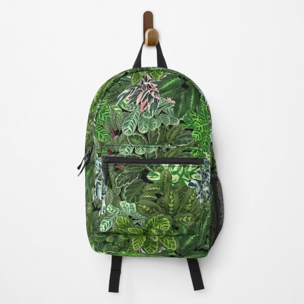 Item preview, Urban Jungle House, Calathea Varieties, Plants Illustration 5 designed and sold by Ana Moguš.