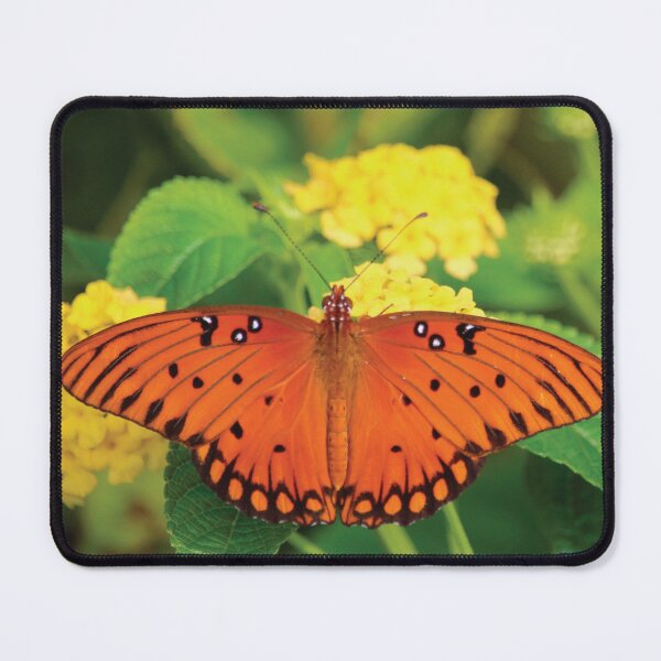 Item preview, Copy of Butterfly designed and sold by TwinPowerTammy.