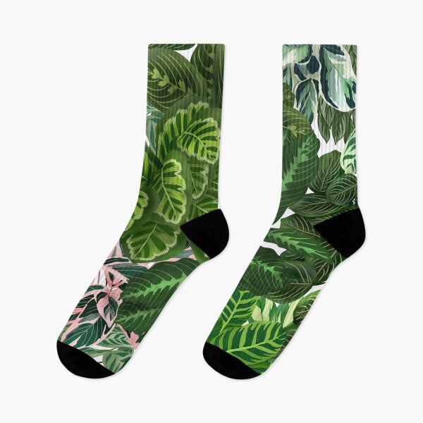 Artikelvorschau, Urban Jungle House, Calathea-Sorten, Pflanzen Illustration 5 entworfen und verkauft von Ana Moguš.