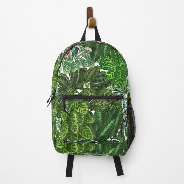 Item preview, Urban Jungle House, Calathea Varieties, Plants Illustration 6 designed and sold by Ana Moguš.