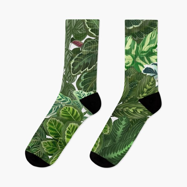 Artikelvorschau, Urban Jungle House, Calathea-Sorten, Pflanzen Illustration 6 entworfen und verkauft von Ana Moguš.