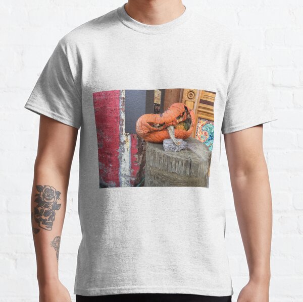 Squashed pumpkin Classic T-Shirt