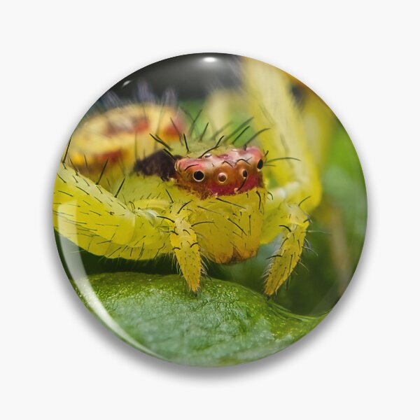 Item preview, Green Crab Spider Ninja - Thomisidae designed and sold by AronsTinySafari.