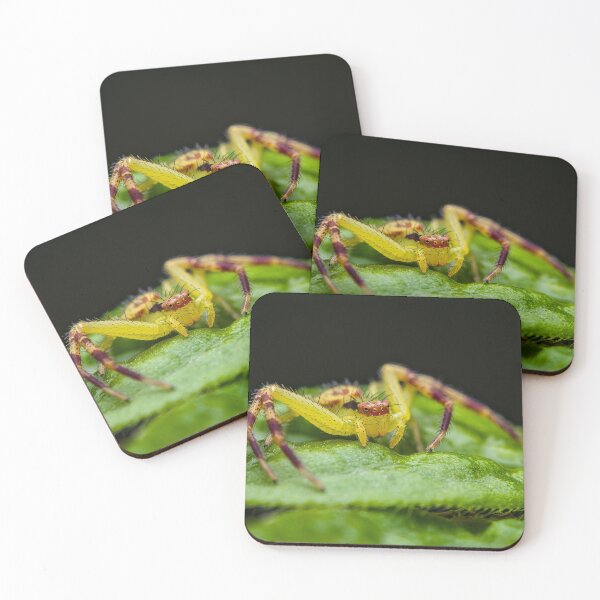 Item preview, Green Crab Spider Ninja - Thomisidae designed and sold by AronsTinySafari.