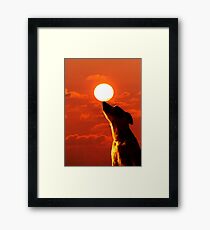 Zelda’s audition for Cirque du Soleil Framed Print