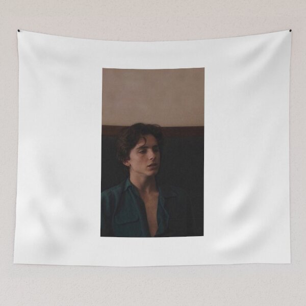 Item preview, timothee chalamet - lady bird designed and sold by isabellagoldie.