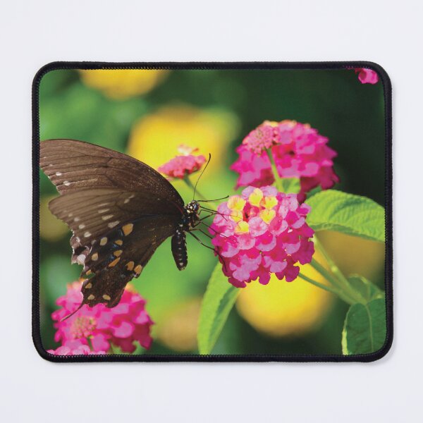 Item preview, Black Butterfly designed and sold by TwinPowerTammy.